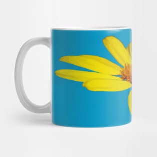 Floating Butterfly Marguerite Daisy Mug